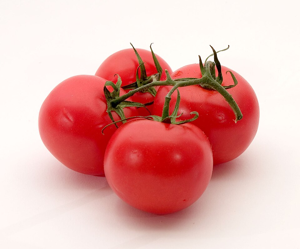 بندورة بلدية