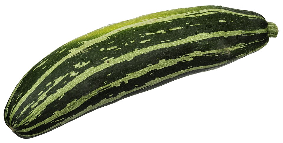 كوسا بلدية