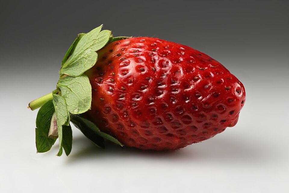 فريز طازج